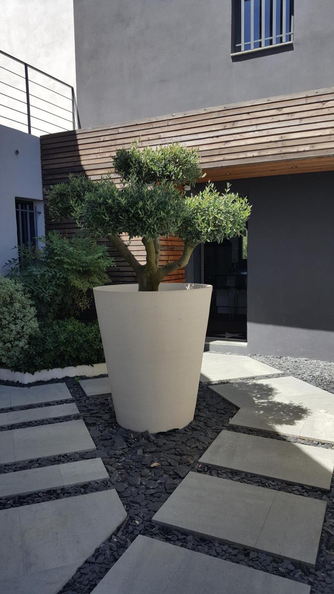 Villa Montpellier Eksteriør billede